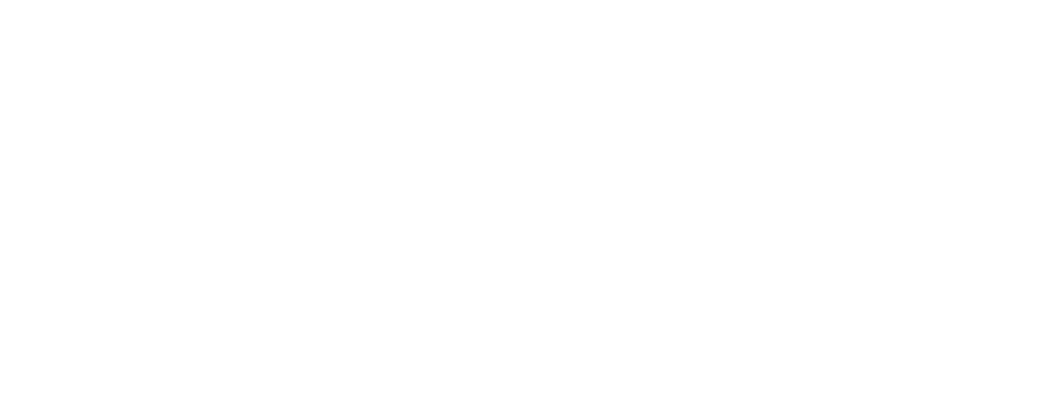 DittoDub white wordmark